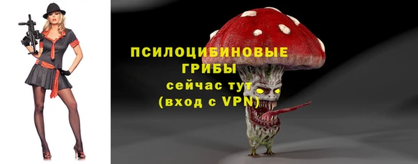 СК Абаза