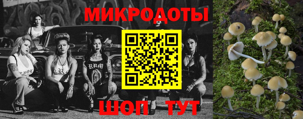 Алейск  Псилоцибиновые грибы мицелий  Вход с VPN 